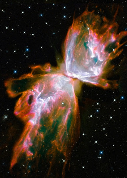 BUTTERFLY NEBULA